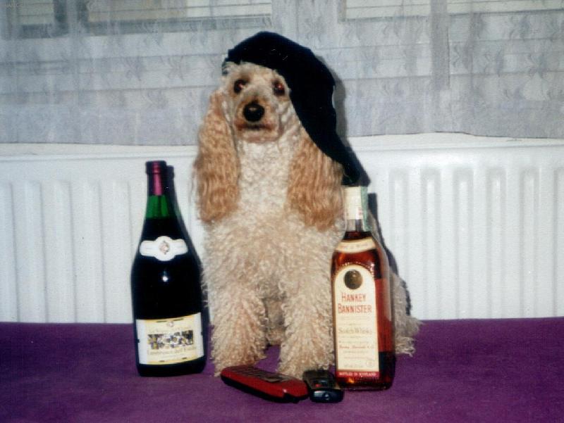 Foto: Pudl�k Denny-Whisky, tu j� r�d ...