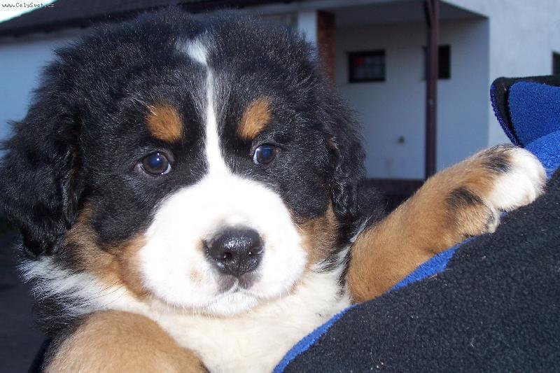 Foto: Frodo-ply��k