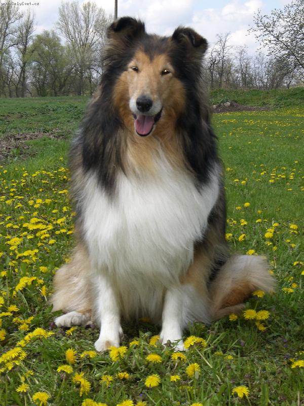 Foto: Beku�ka-30.4. 2006