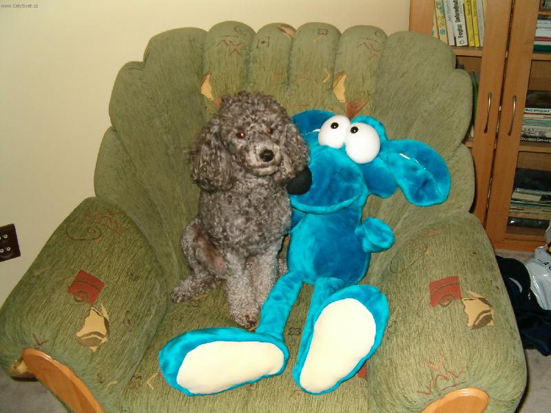 Foto: To m�m ale okat�ho kamar�da, �e?