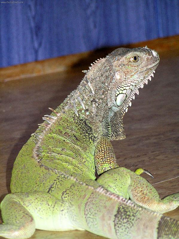 Foto: na�e beru�ka