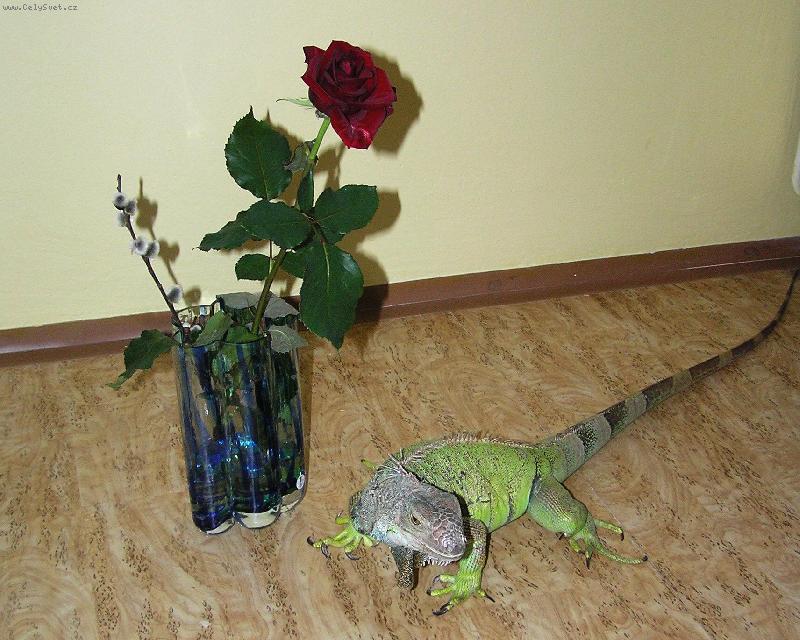 Foto: na�e beru�ka