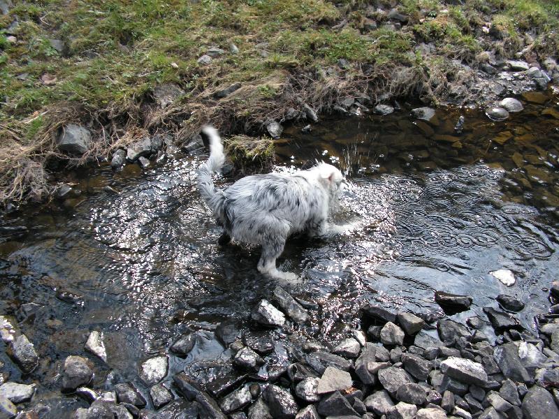 Foto: BAD-Nen� nad dobrou koupel