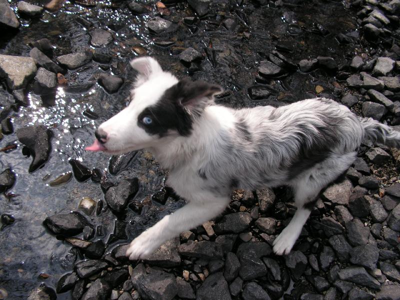 Foto: BAD-To je par�da