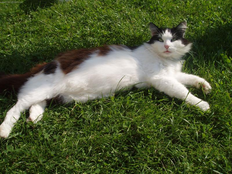 Foto: Fous-To je ale pohodi�ka:-)