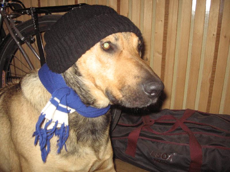 Foto: lab��o-miluju proch�zky,miluju v�lety,ale s pat�i�n�m vybaven�m.....