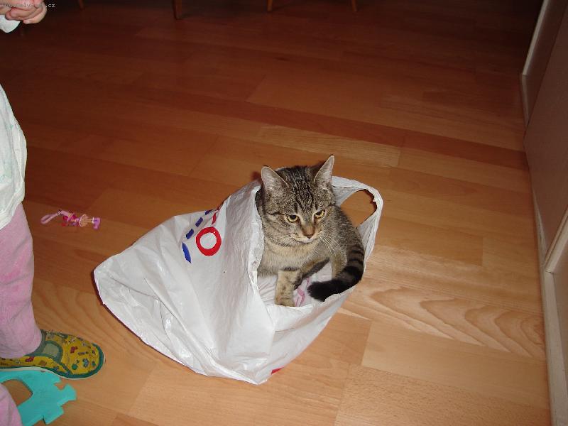 Foto: N�kup-Byla ve slev�