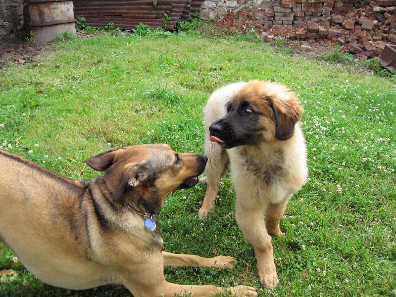 Foto: la�kov�n�-1:poj� si hr�t....2:t�dle....