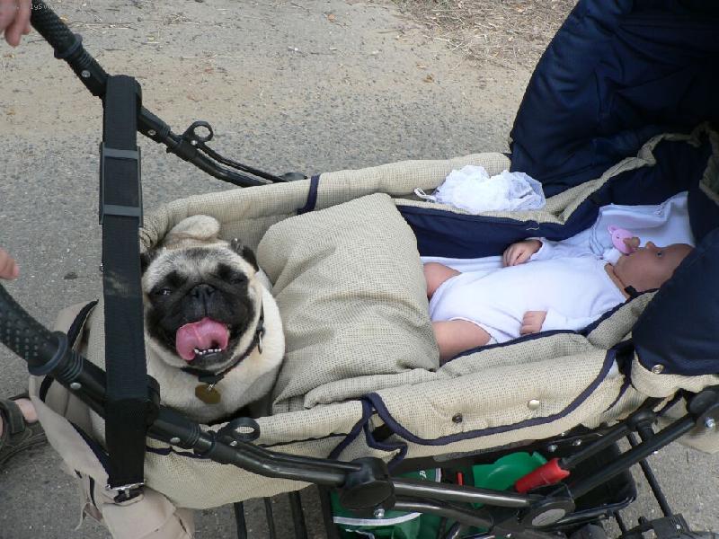 Foto: ..uj�d�me p�ed bou�kou !