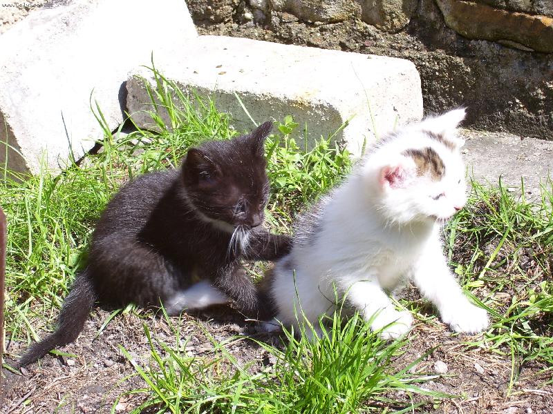 Foto: Roz�rka a Kul�k-v �ad� za sebou ...