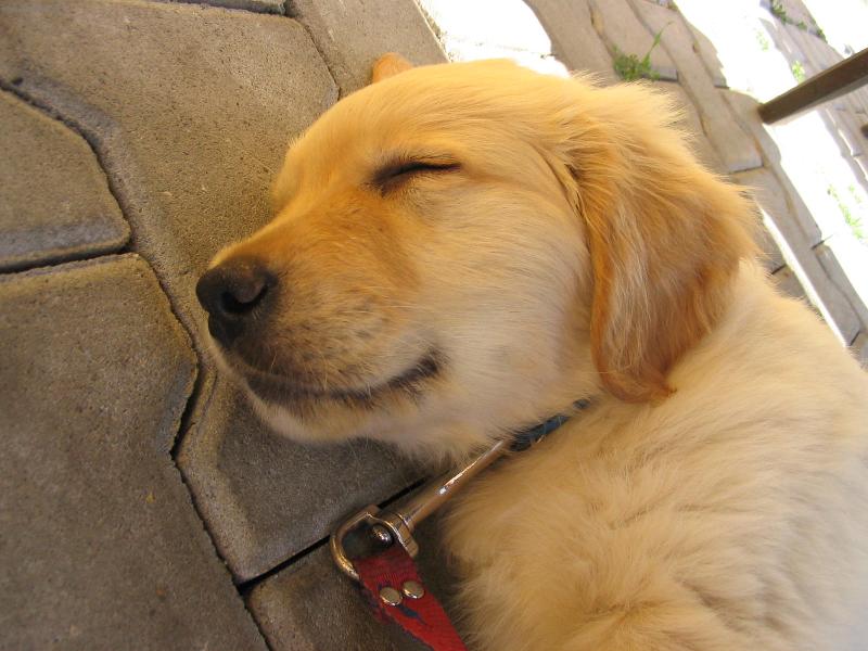 Foto: Robin-Rob�nek spink�