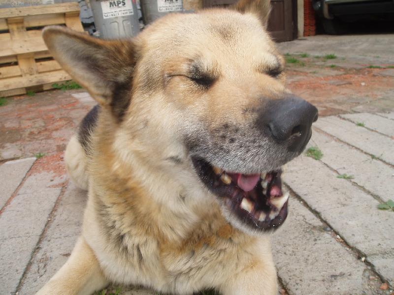 Foto: Artur-to je ale �sm�v �e???