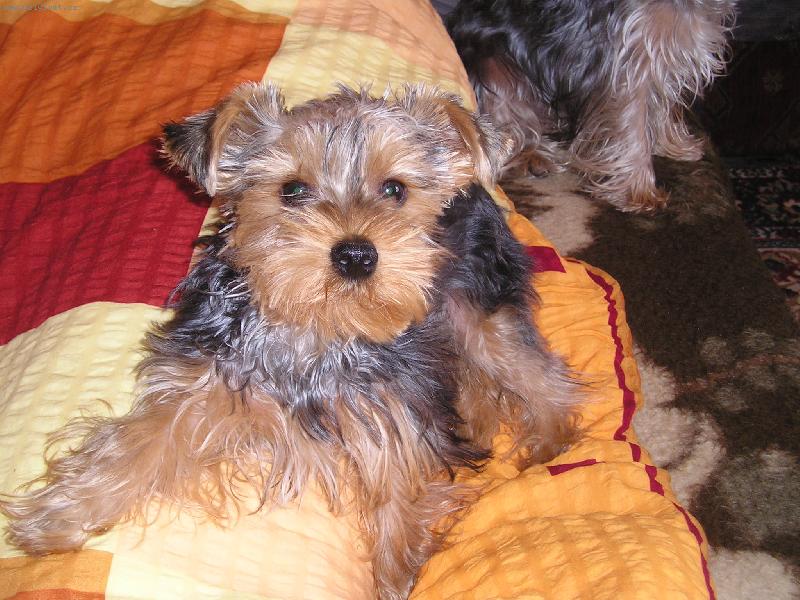 Foto: fotomodelka-ani  nemrknu