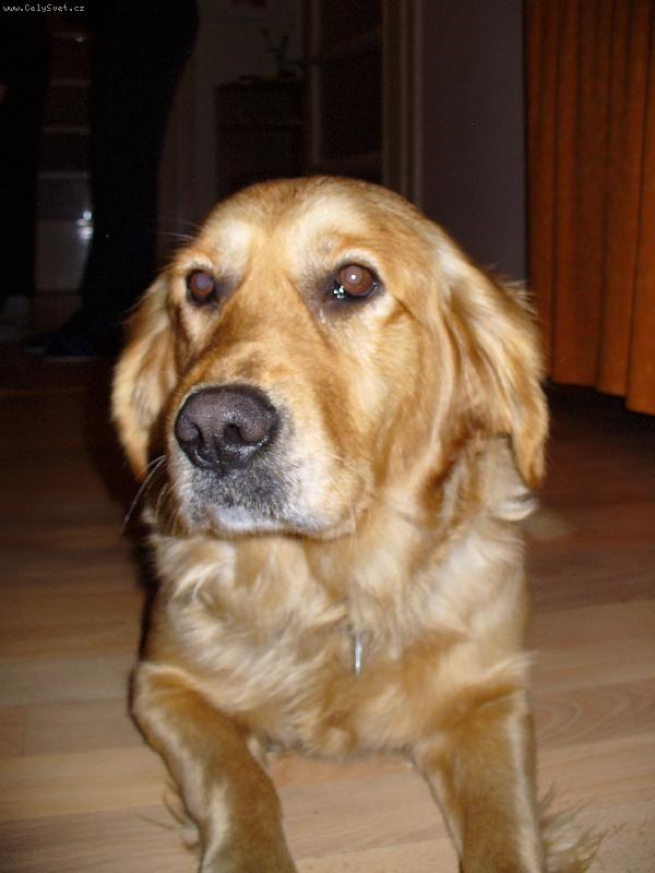 Foto: Zv�davka-Co to dr�� v t�ch ruk�ch?