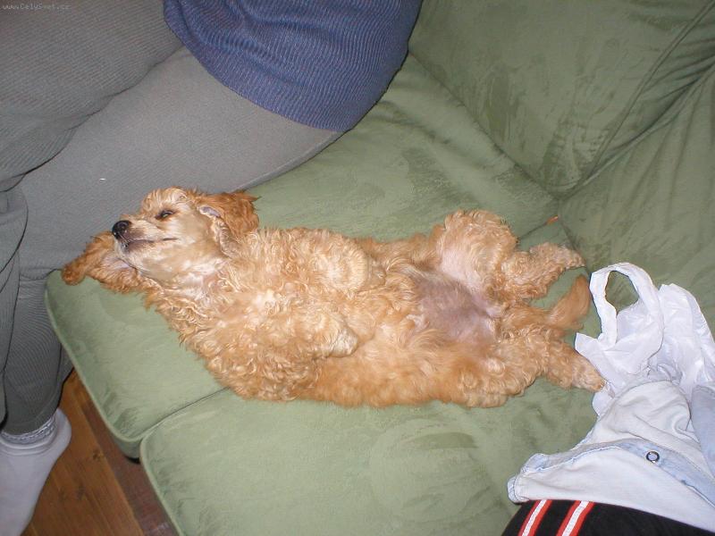 Foto: Eli�ka-A co takhle podrbat !!?