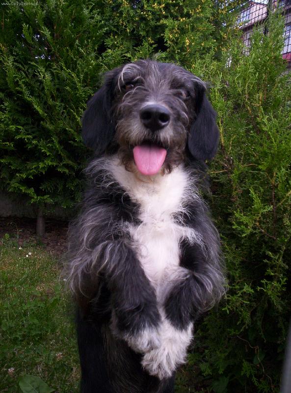 Foto: and�lek-noo tak nenap�nej m�