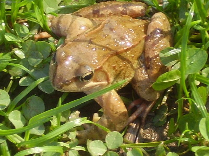 Foto: Jsem tu jenom na skok