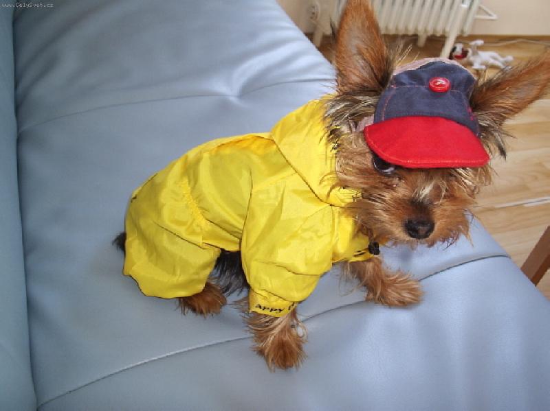 Foto: Kdy� jdu na proch�zku-Takov� mod�lek jsme po��dili na�� Jennynce