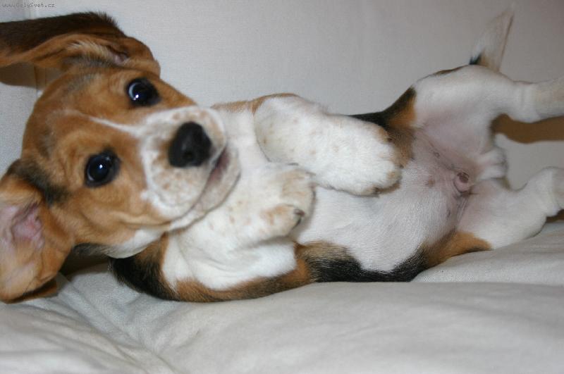 Foto: Eda-to je pohodi�ka, lep�� ne� v pel�ku