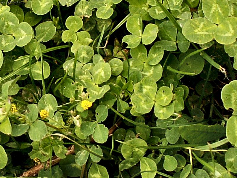 Foto: Najdi si sv�j �ty�l�stek pro �t�st�