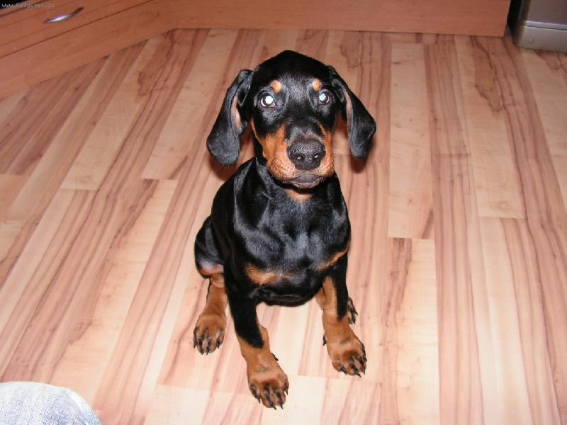 Foto: Argo-J� jsem ale roztomil� �e?