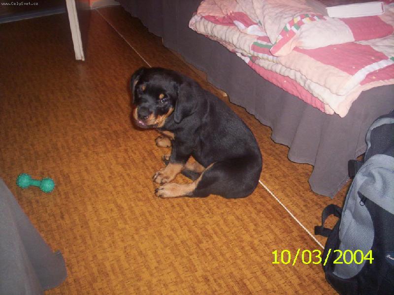 Foto: Kimi-Pro� na m� po��d tak �u��te?