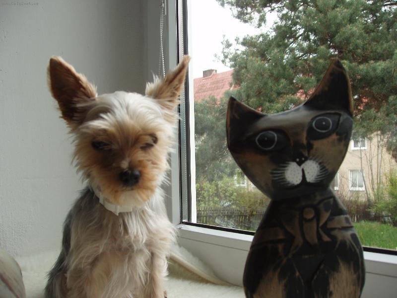 Foto: j� a k�mo�ka-m�m tu i d�l sed�t?