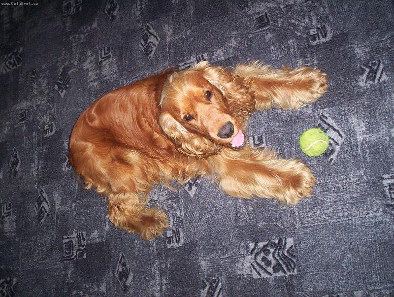 Foto: Poj� si hr�t