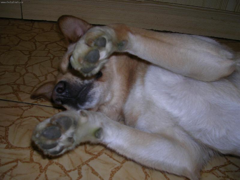 Foto: Jonat�n-N�������, nefo� m�!!!!!