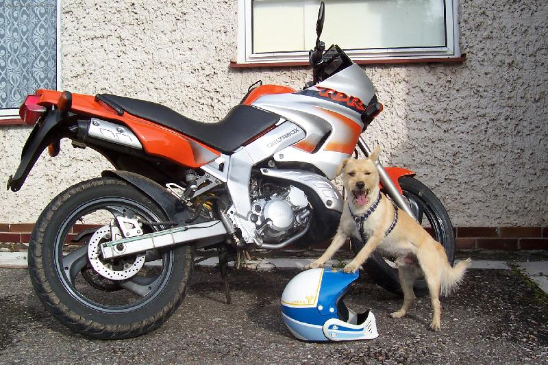 Foto: Max�k motork��