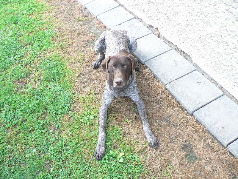 Foto: Aranek-Nejsem tak zl� jak vypad�m