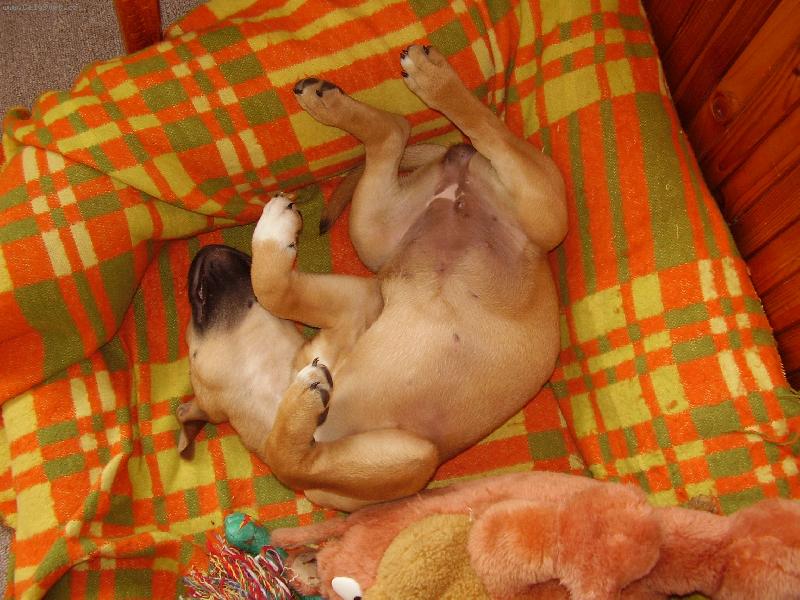 Foto: Chrup�n��ko...-Jak jen si m�m lehnout?