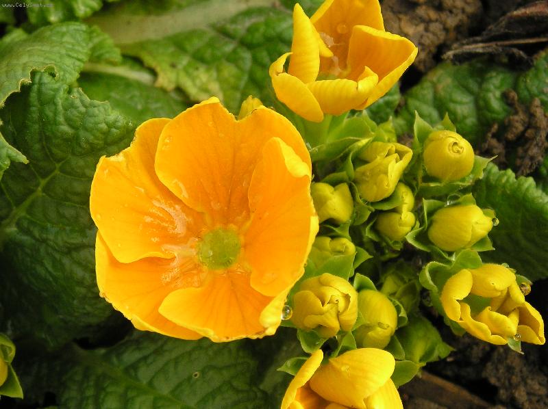 Foto: Na za��tku