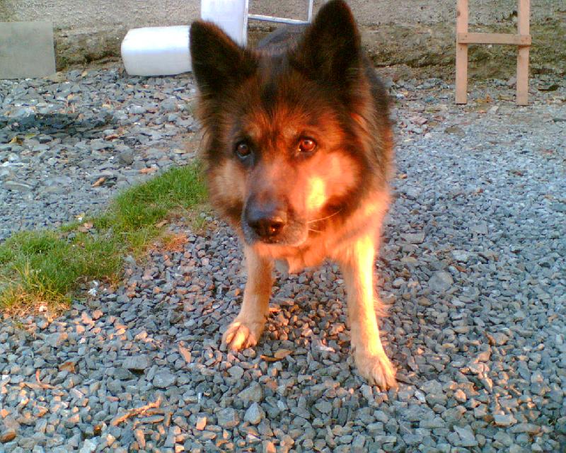 Foto: Bona-no nen� roztomil�?