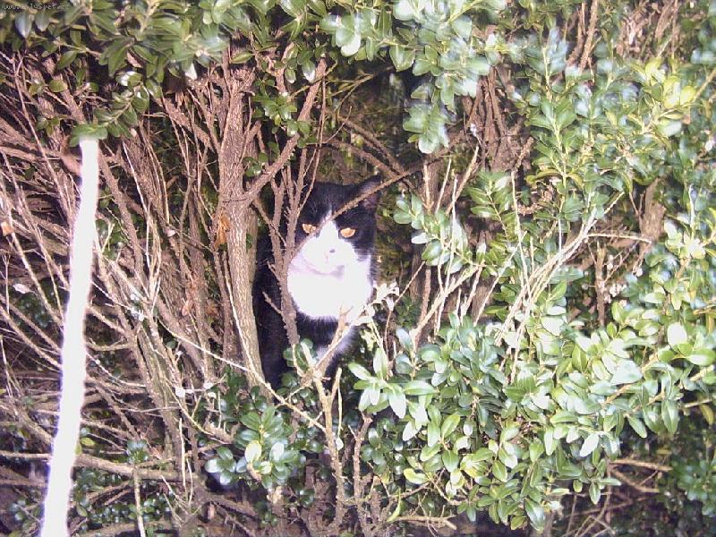 Foto: Tajn� agent-Douf�m �e se neprozrad�m lep�� ukr�t u� asi nenajdu