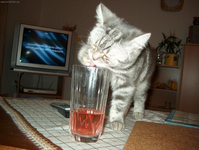 Foto: Nem� to m�lo sladk�?