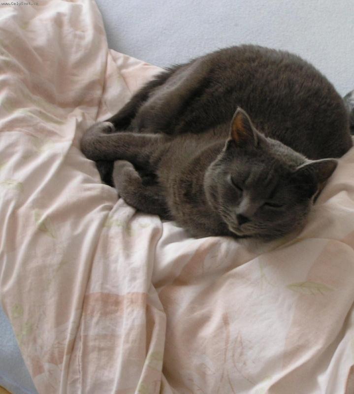 Foto: Amy-To je na�e Amy , le��c� , sp�c�