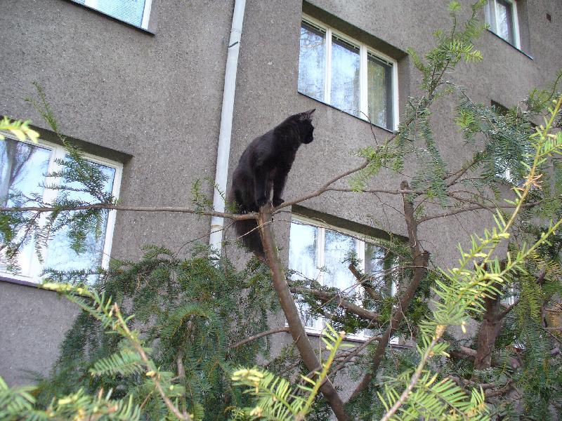 Foto: Mike�-Kdo vy�plh� v�� ne� j�???