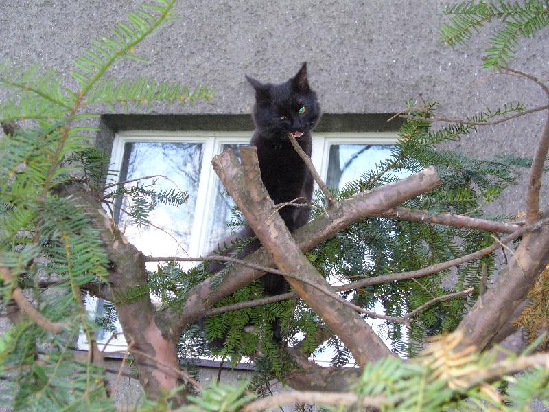 Foto: Mike�-To �ubrn�, co???