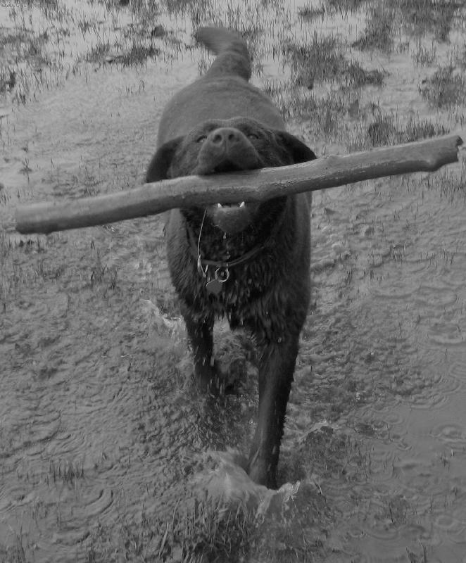 Foto: Kenny-tek je nejstastnejsi.