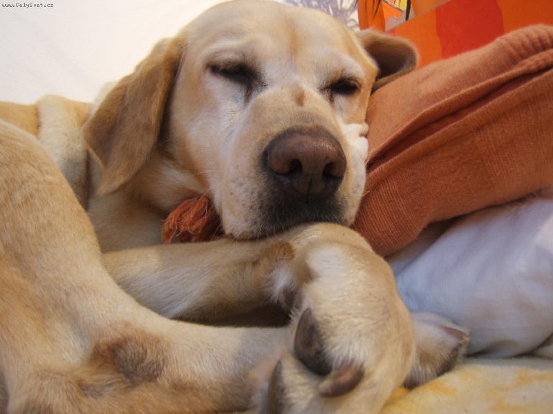 Foto: Pohoda, kl�dek a ........-Ten pol�t��ek je ale n�jak m�kk�!!!;o)