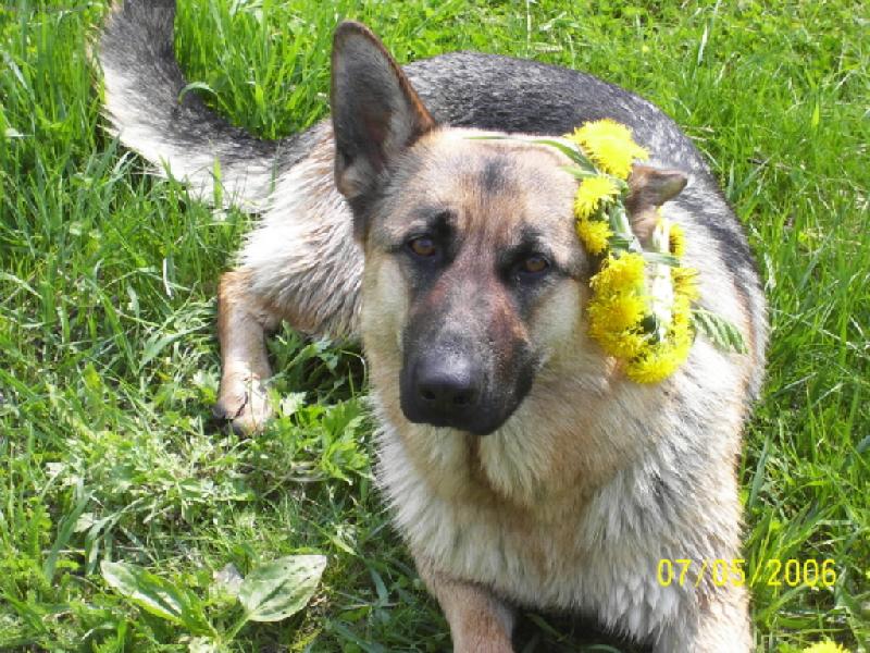 Foto: Princezna Besi-n�jak mi to pad� ne? Ta korunka