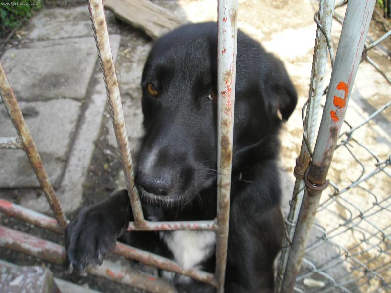 Foto: �ekt�k-M�j pejs�nek