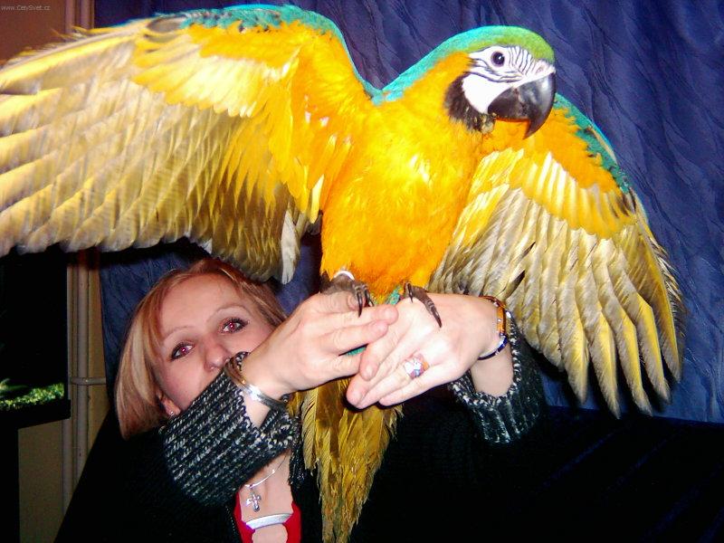 Foto: Arou�ek-Pust� m� a� se m��u prol�tnout !