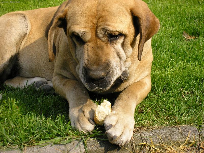 Foto: rohl��ky m�m nejrad�i