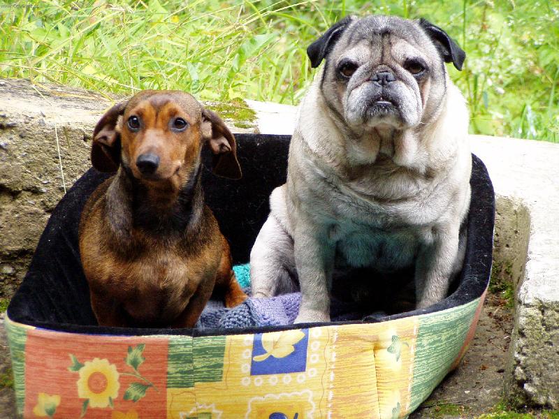 Foto: Kamar�di-V pel�ku m� nav�t�vila jezev�ice