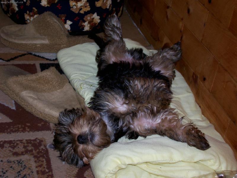 Foto: Neru�it spink�m!!!!