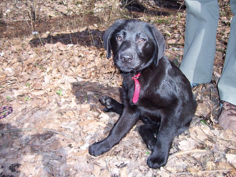 Foto: S�gry fenka Barinka-Nenarodila se pro p�zov�n�?