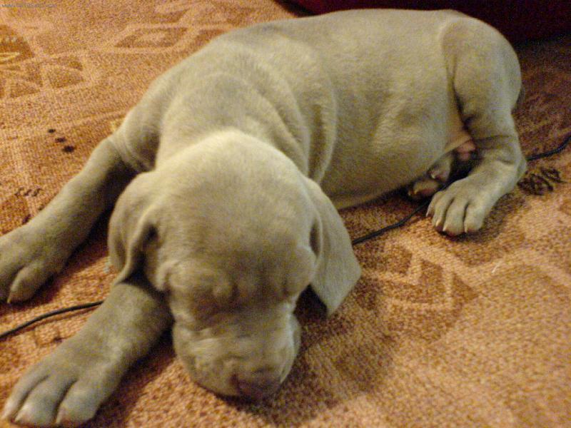 Foto: Bu�i-Mal� Bu��k