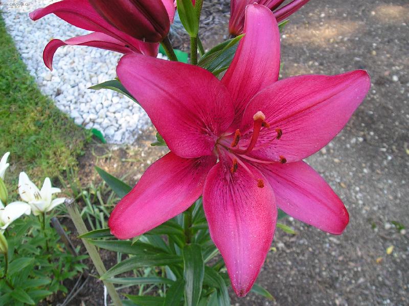 Foto: Pastva pro o�i-jedna z mnoha m�ch poklad�